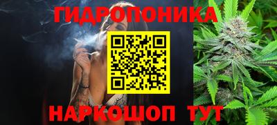 дмт Жуковский