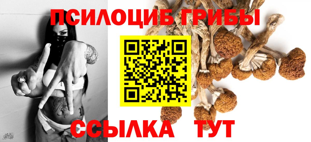 Лыткарино  Галлюциногенные грибы GOLDEN TEACHER  Вход с VPN 